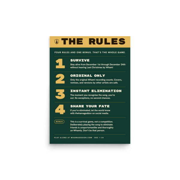 enhanced-matte-paper-poster-in-12x16-front-6ac1178409764.jpg Rules Poster